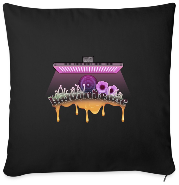 coussin noir avec logo hawoodrose couleur
