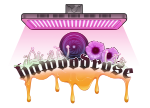 Logo hawoodrose photography