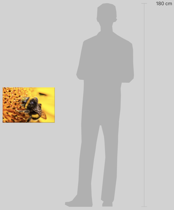 image montrant la dimension du tableau par rapport à un homme de 1m80