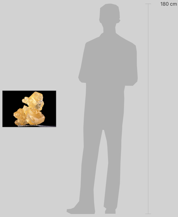 image montrant la dimension du tableau par rapport à un homme de 1m80